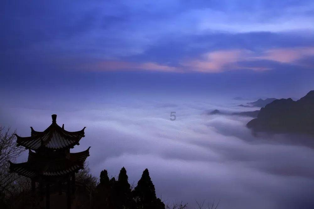 可爱的蜗牛拼图