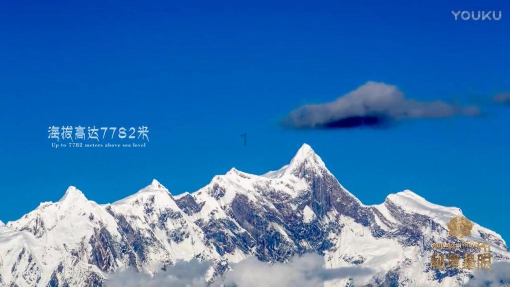 逃离泰莱森林