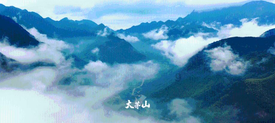 警察战僵尸无敌版
