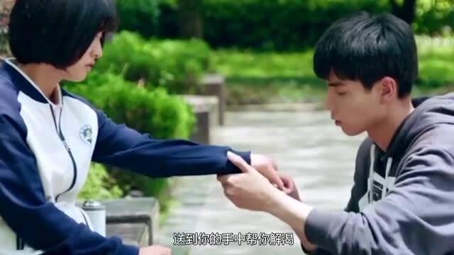 纯素食八周降“三高”?风险太大